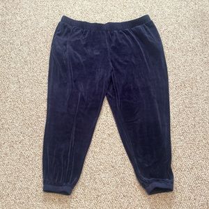 LAST CALL Navy Velour Jogger Pants